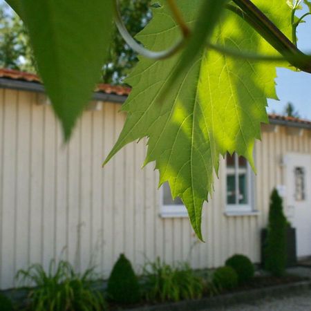 Gaestehaus Gaumenflug Am See ギュンツブルク エクステリア 写真