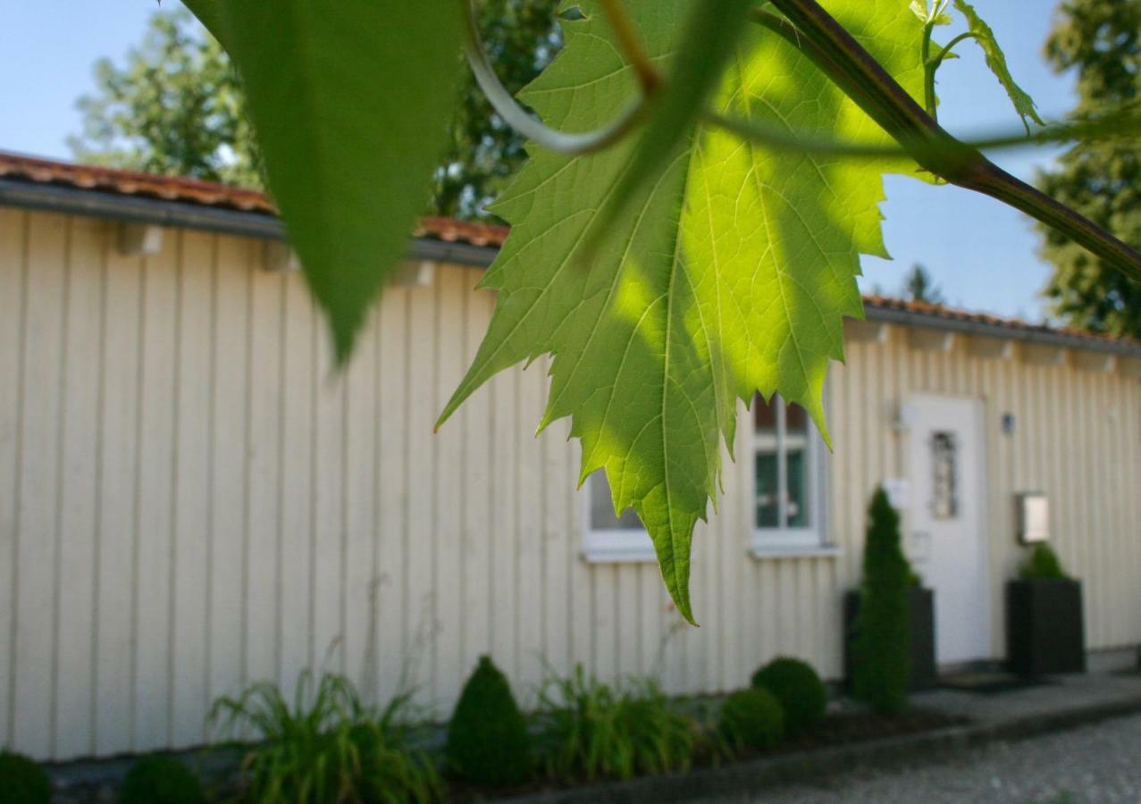 Gaestehaus Gaumenflug Am See ギュンツブルク エクステリア 写真